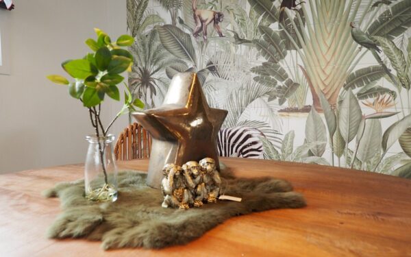 Conteneur habitable mobile - Image 5